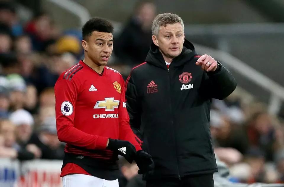 似乎为比赛 似乎为比赛