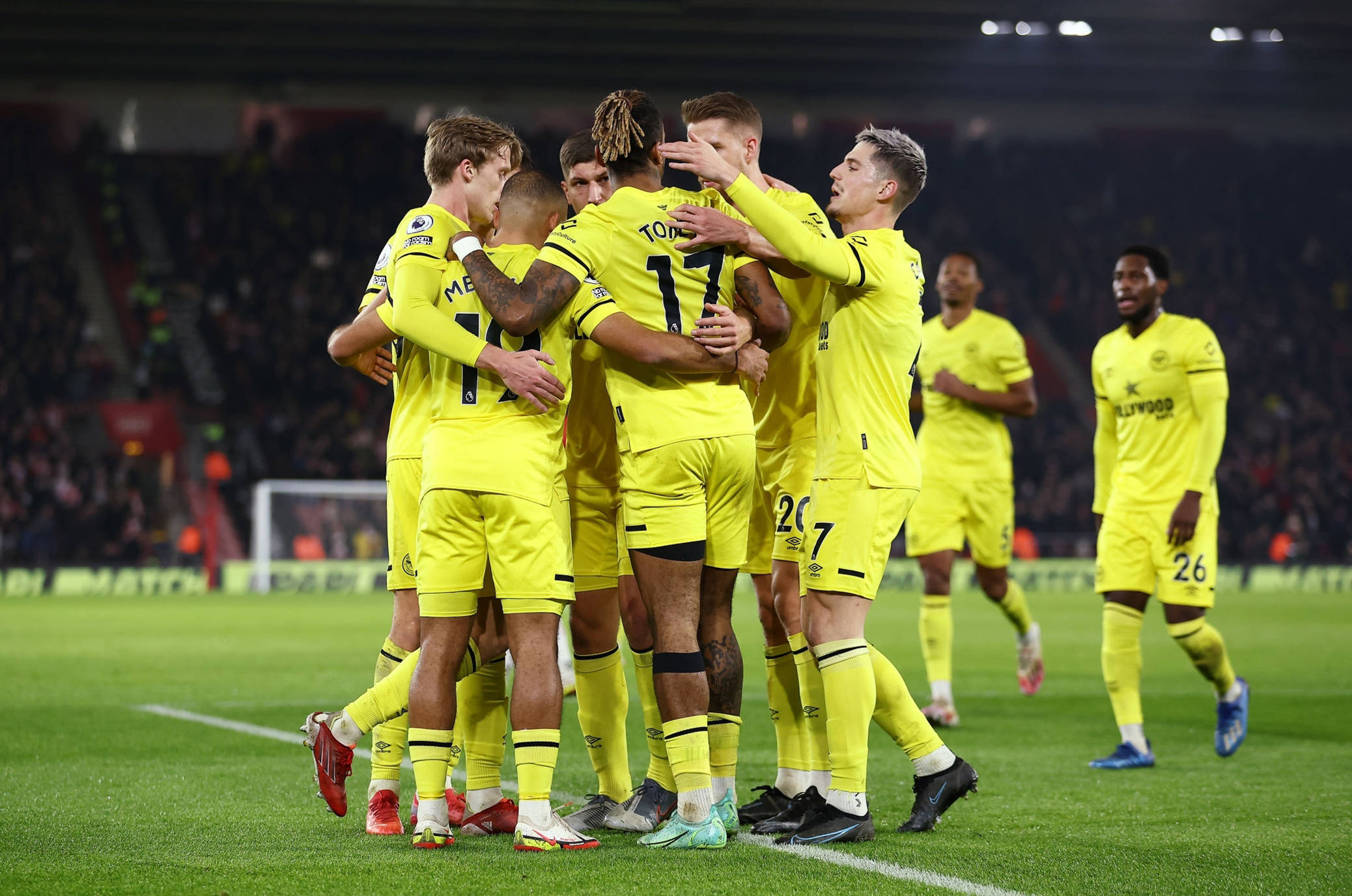 这是展示实 这是展示实